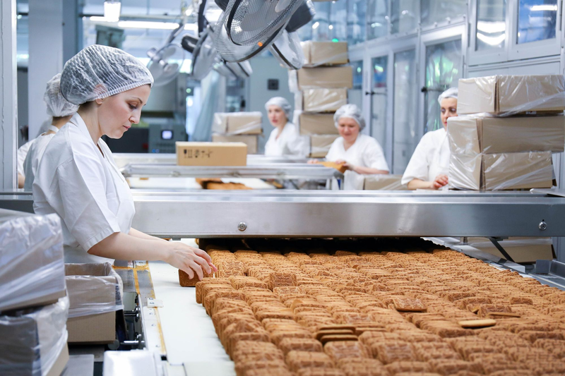 Rostov Food Plants Becoming More Modern